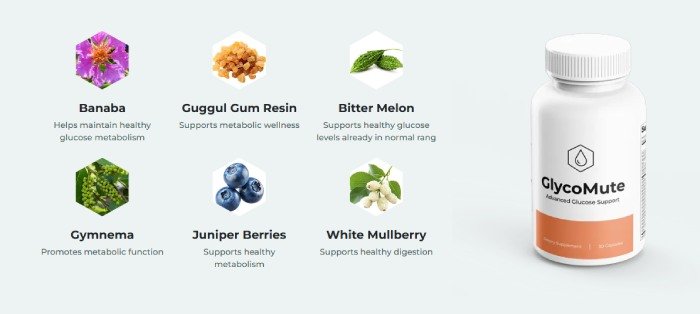 GlycoMute plant-based supplement for energy and focus